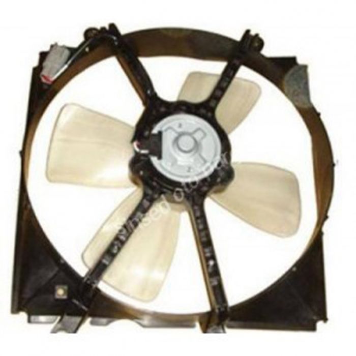 FAN.jpg