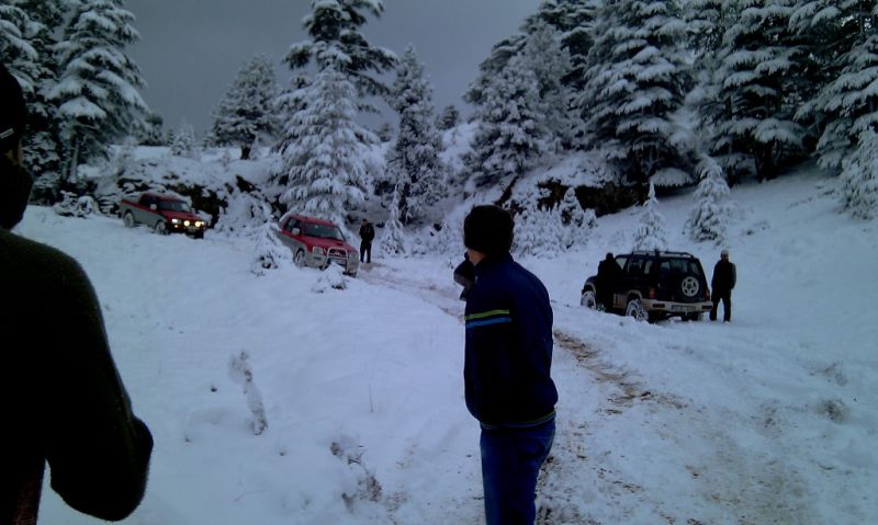 feke NATA+kosk cukoff 090.jpg