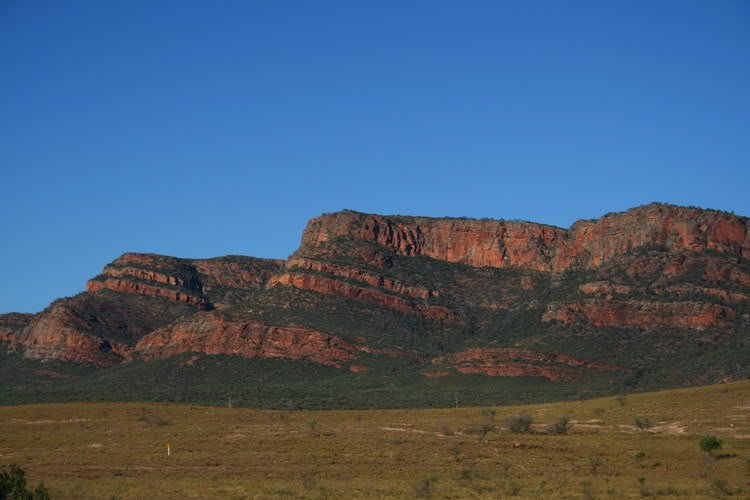 FlindersRanges4