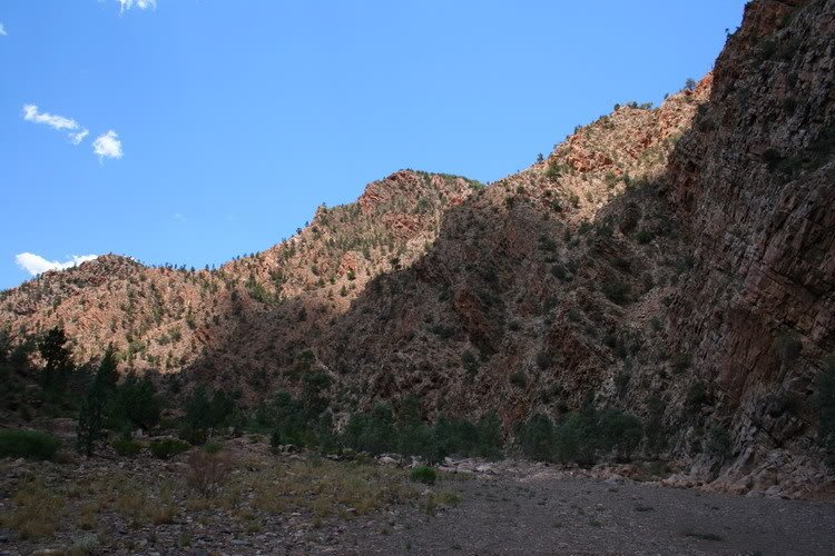 FlindersRanges8.jpg