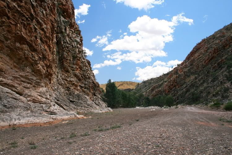 FlindersRanges9.jpg