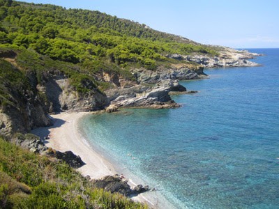 ForestBeachUSE3.jpg