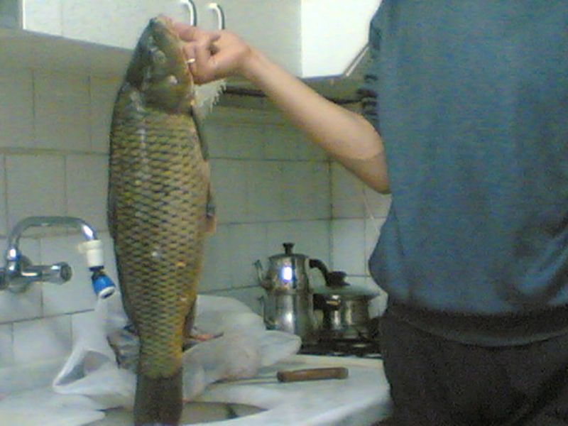 Foto(013).jpg