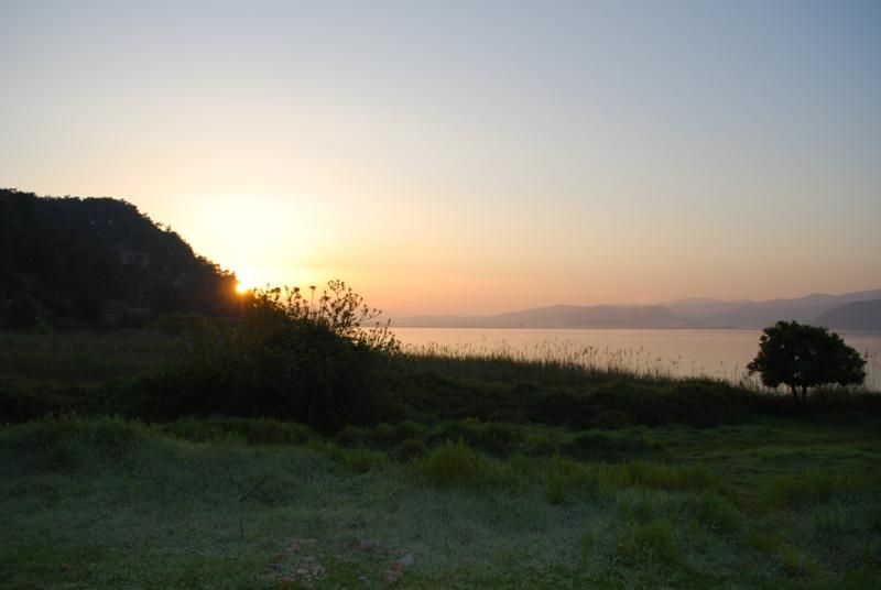 foto 9_800x536.jpg
