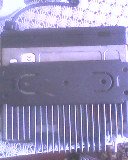 Foto?raf-0022.jpg