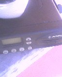Foto?raf-0024.jpg