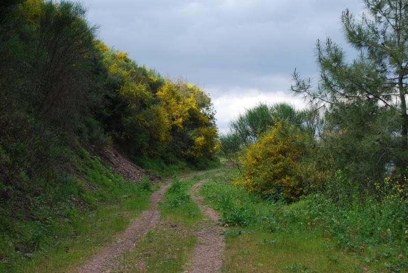 foto4_800x536.jpg