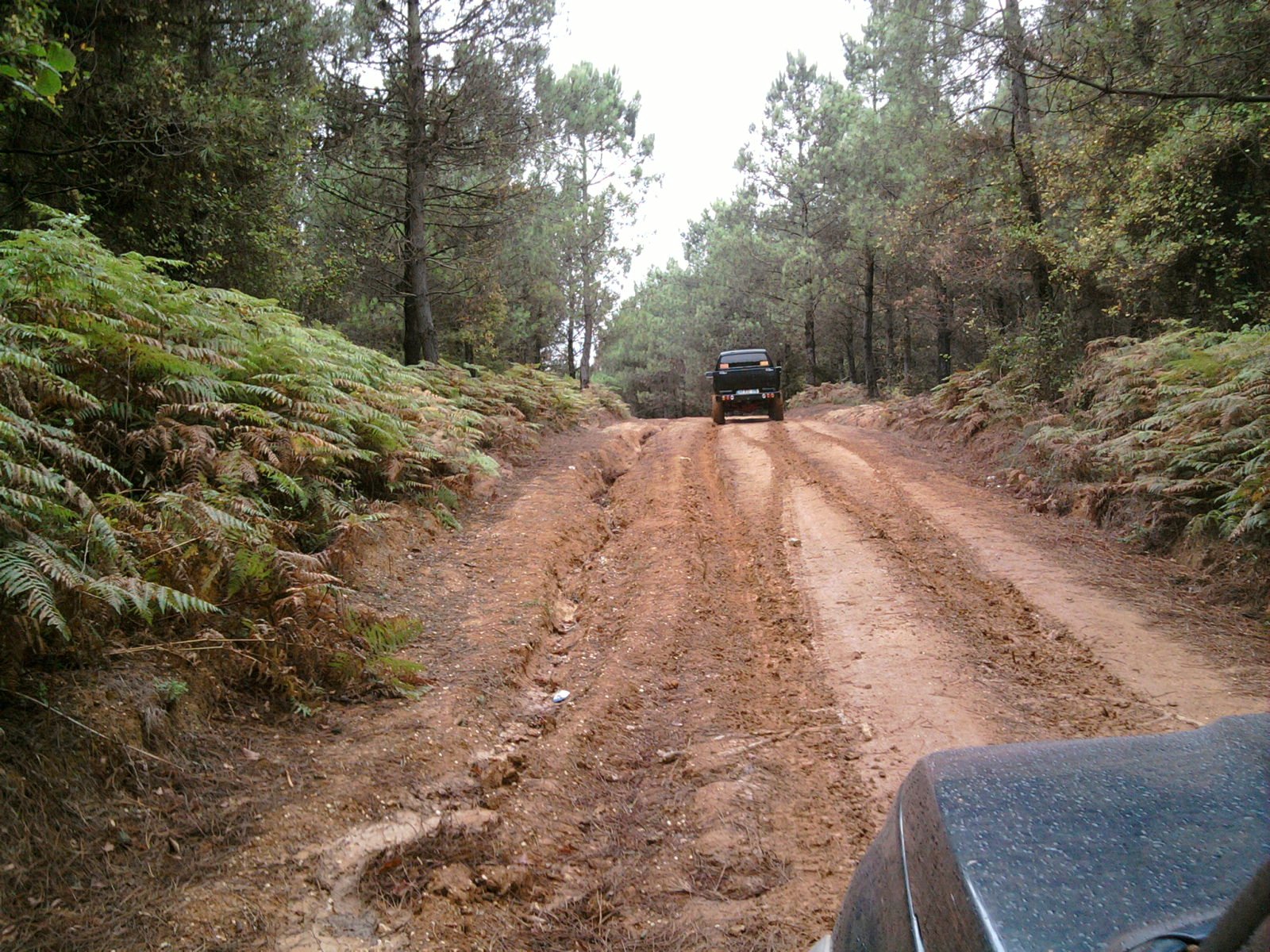 FotoÃƒÂƒÃ‚Â„ÃƒÂ‚Ã‚ÂŸraf-0009.jpg