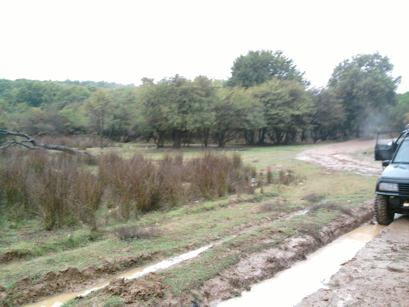 FotoÃƒÂƒÃ‚Â„ÃƒÂ‚Ã‚ÂŸraf-0015.jpg