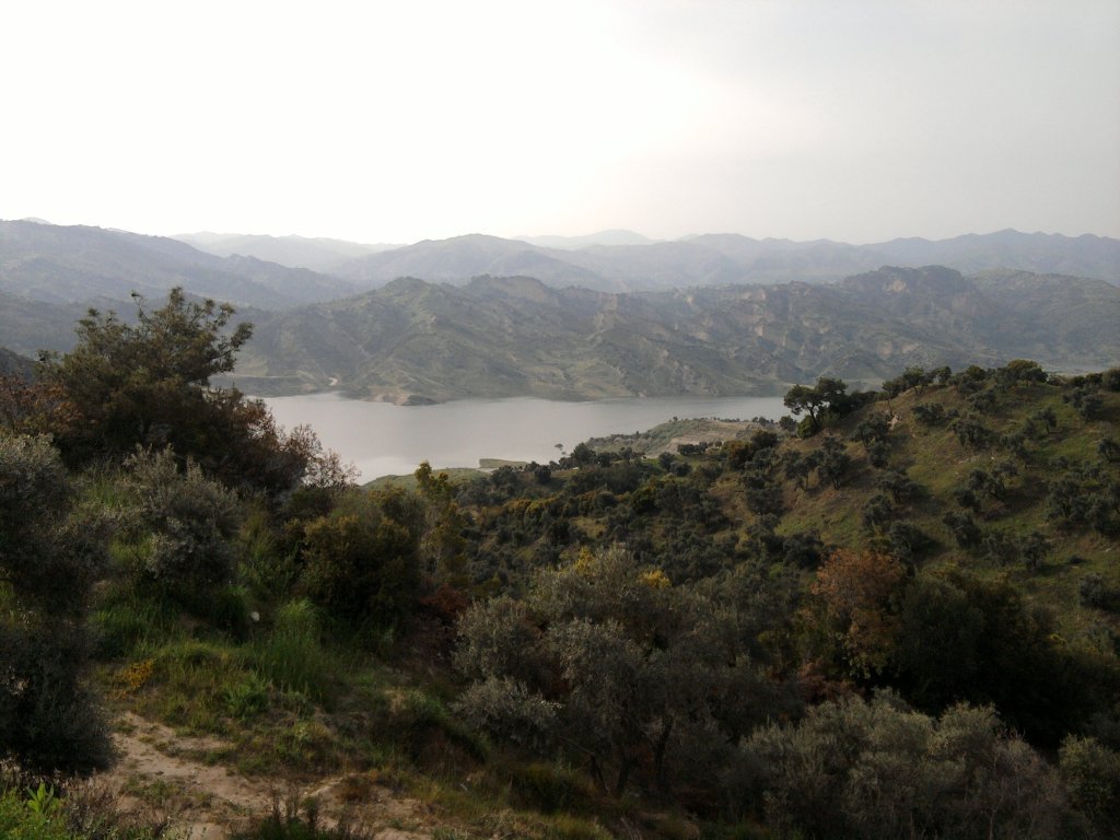 FotoÃƒÂƒÃ‚Â„ÃƒÂ‚Ã‚ÂŸraf-0018..jpg