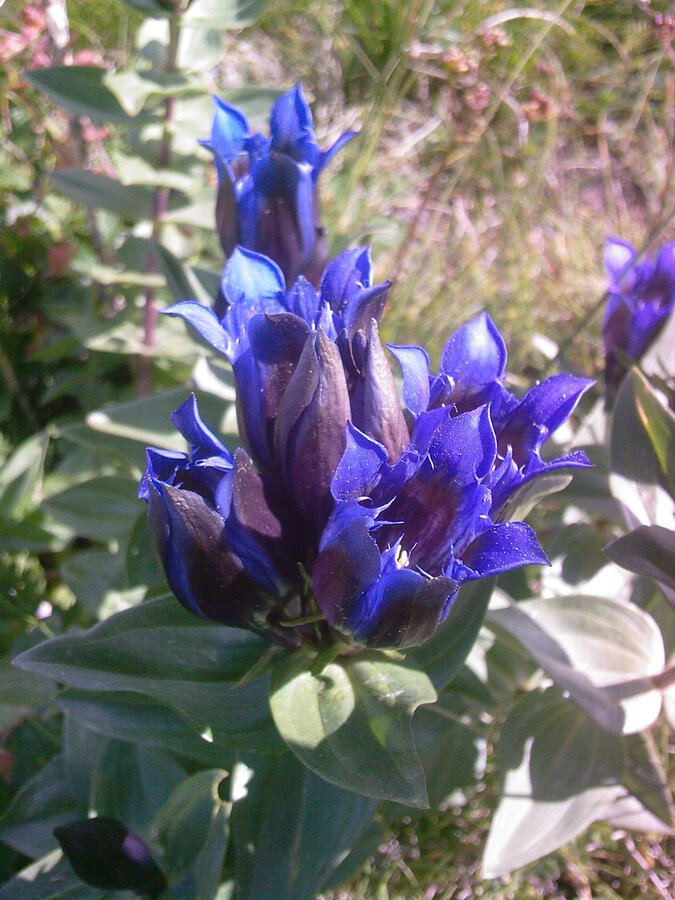 FotoÃƒÂƒÃ‚Â„ÃƒÂ‚Ã‚ÂŸraf-0028.jpg