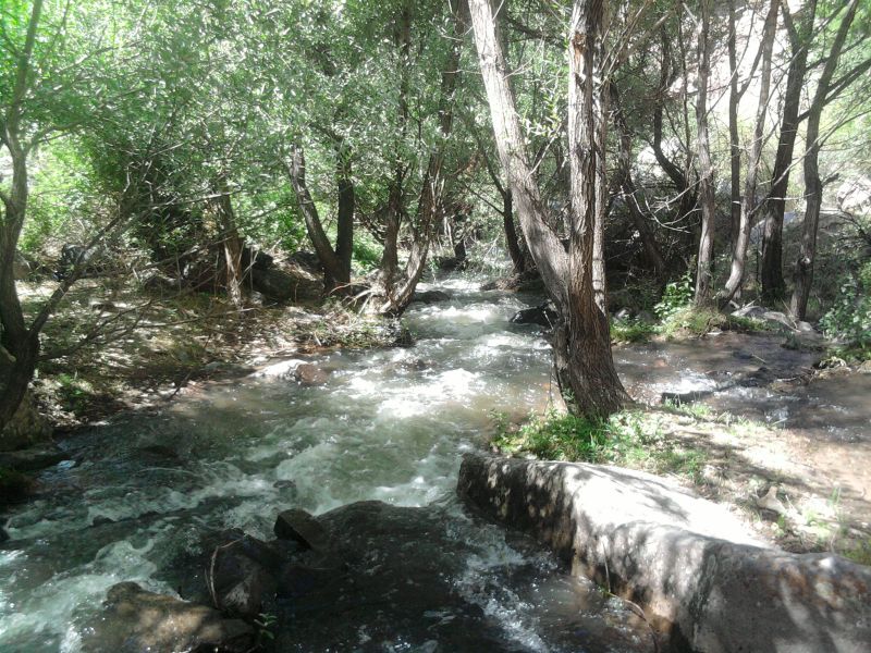 FotoÃƒÂƒÃ‚Â„ÃƒÂ‚Ã‚ÂŸraf-0029.jpg