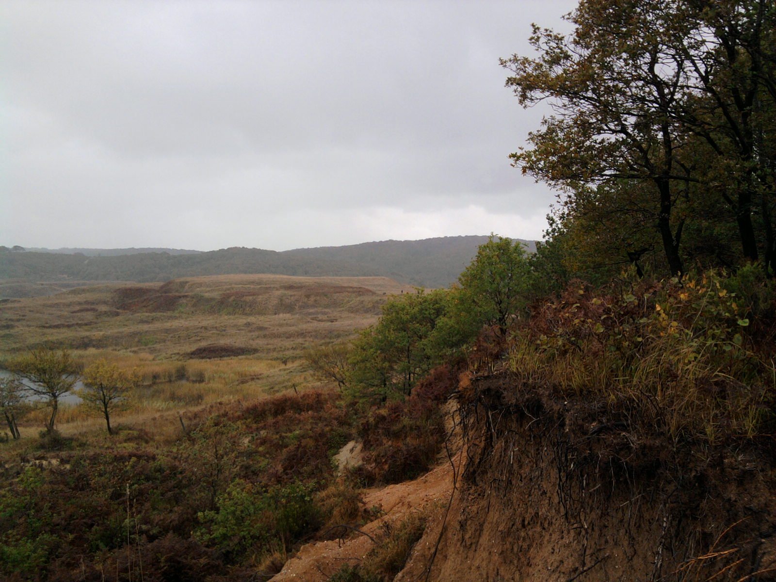 FotoÃƒÂƒÃ‚Â„ÃƒÂ‚Ã‚ÂŸraf-0032.jpg