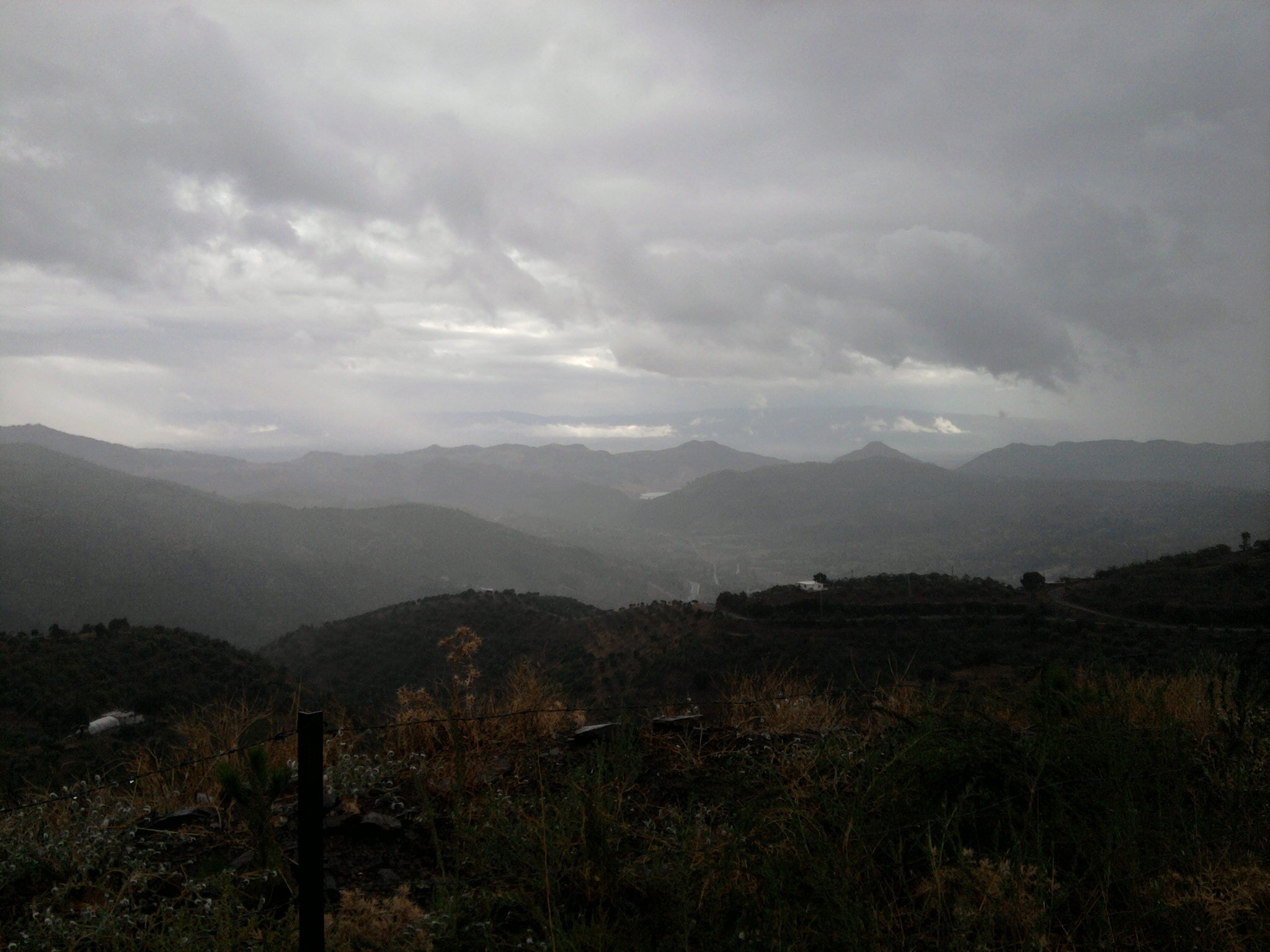 FotoÃƒÂƒÃ‚Â„ÃƒÂ‚Ã‚ÂŸraf-0035ad.jpg