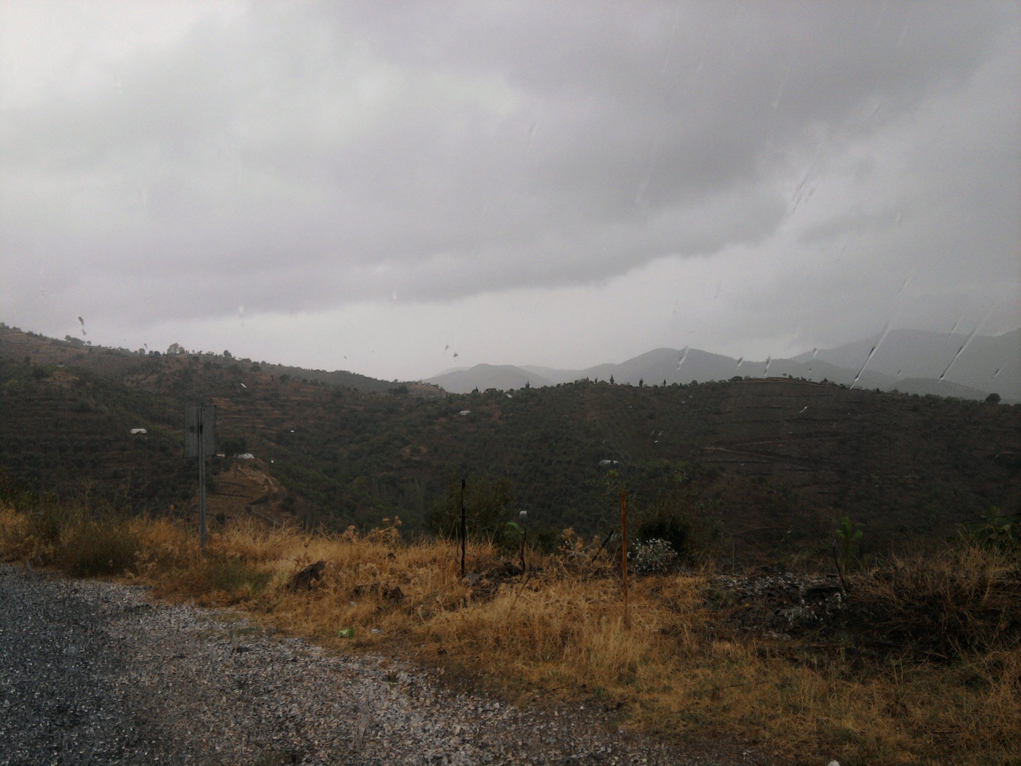 FotoÃƒÂƒÃ‚Â„ÃƒÂ‚Ã‚ÂŸraf-0039ad.jpg