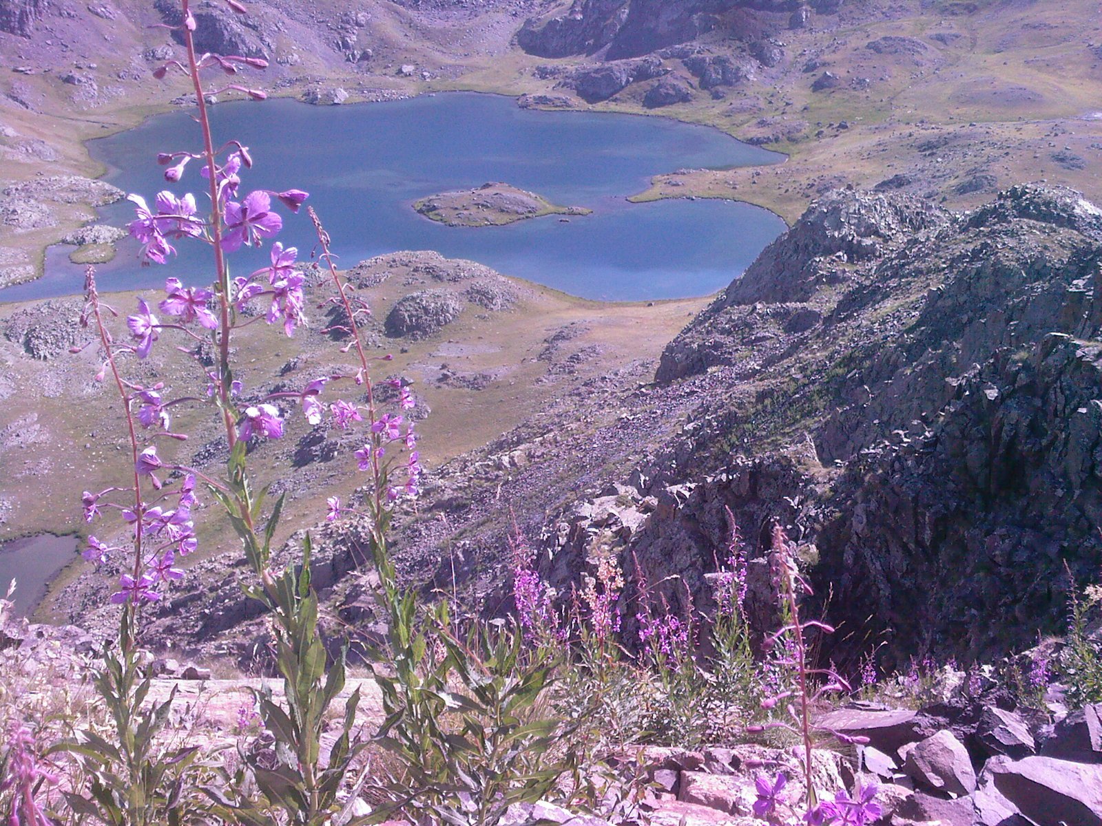 FotoÃƒÂƒÃ‚Â„ÃƒÂ‚Ã‚ÂŸraf-0043.jpg