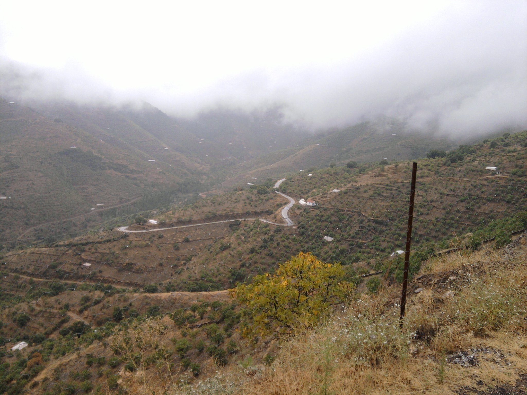 FotoÃƒÂƒÃ‚Â„ÃƒÂ‚Ã‚ÂŸraf-0044ad.jpg