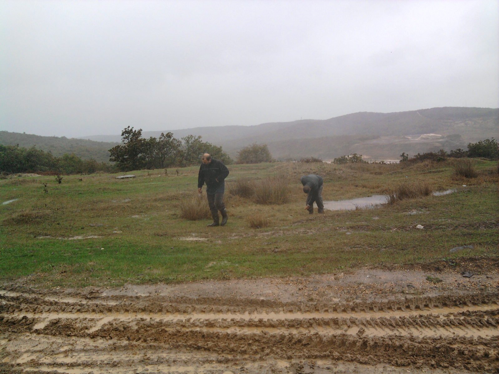 FotoÃƒÂƒÃ‚Â„ÃƒÂ‚Ã‚ÂŸraf-0045.jpg