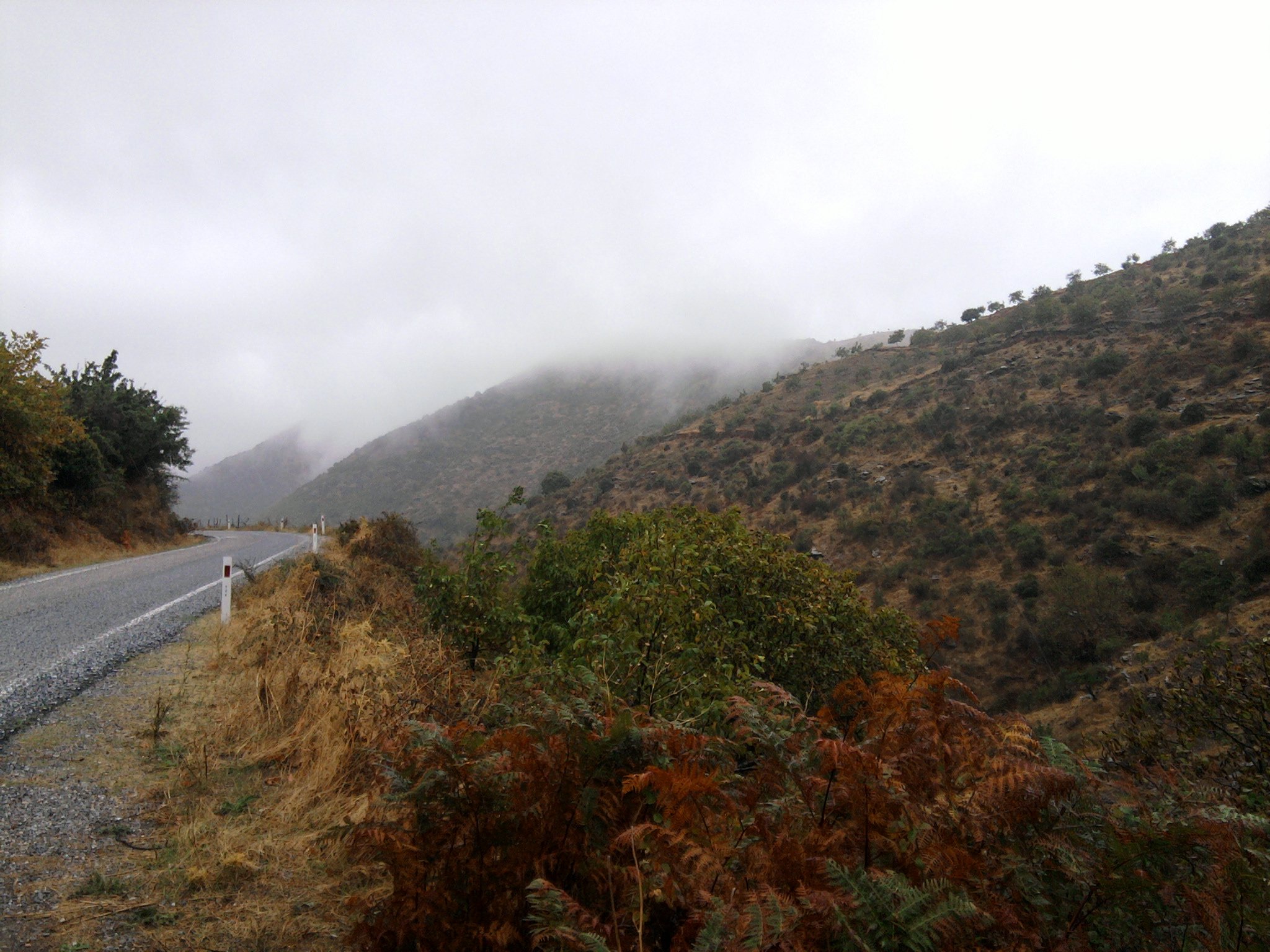FotoÃƒÂƒÃ‚Â„ÃƒÂ‚Ã‚ÂŸraf-0051ad.jpg