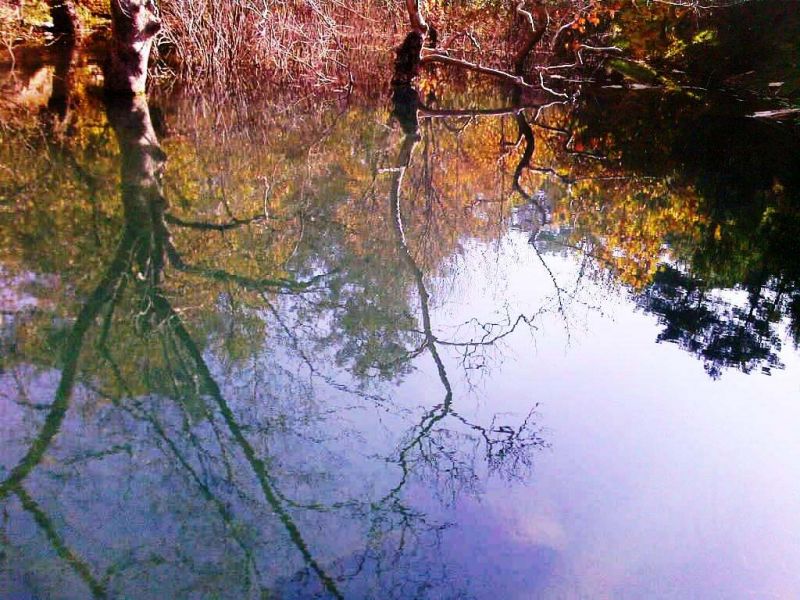 FotoÃƒÂƒÃ‚Â„ÃƒÂ‚Ã‚ÂŸraf-0053.jpg