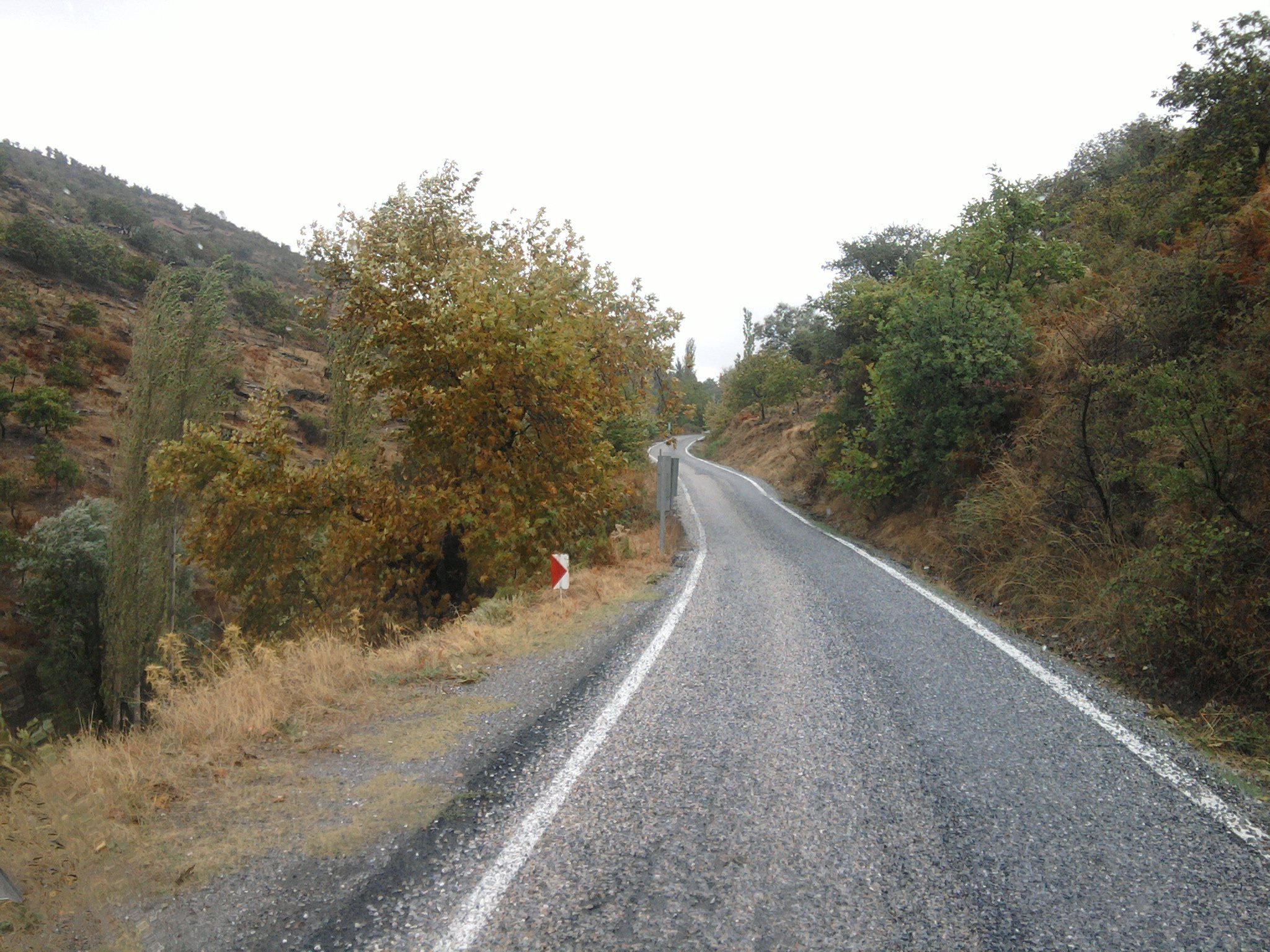 FotoÃƒÂƒÃ‚Â„ÃƒÂ‚Ã‚ÂŸraf-0054ad.jpg