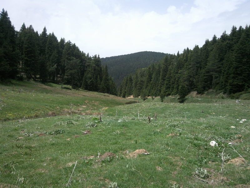 FotoÃƒÂƒÃ‚Â„ÃƒÂ‚Ã‚ÂŸraf-0073.jpg