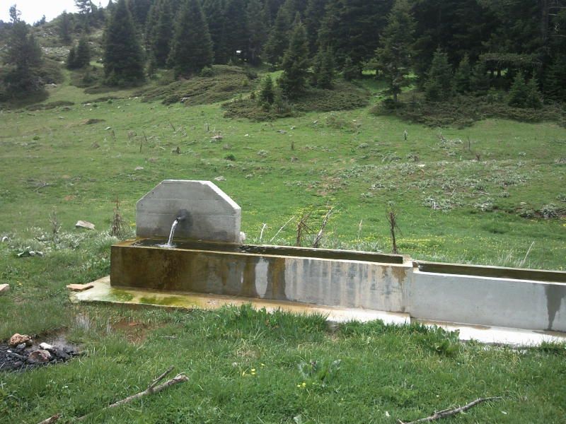 FotoÃƒÂƒÃ‚Â„ÃƒÂ‚Ã‚ÂŸraf-0074.jpg