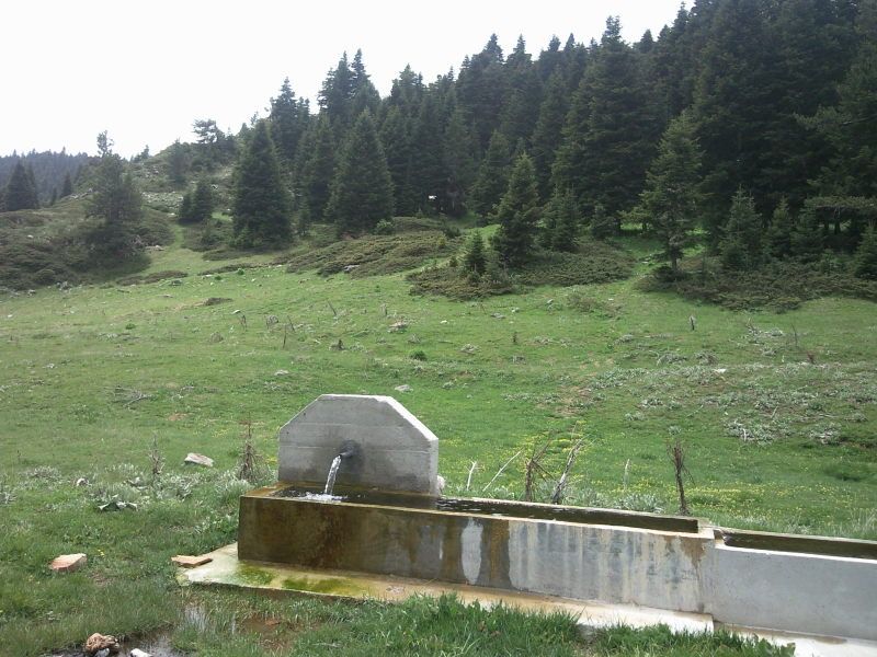 FotoÃƒÂƒÃ‚Â„ÃƒÂ‚Ã‚ÂŸraf-0075.jpg