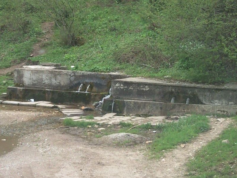 FotoÃƒÂƒÃ‚Â„ÃƒÂ‚Ã‚ÂŸraf-0076.jpg
