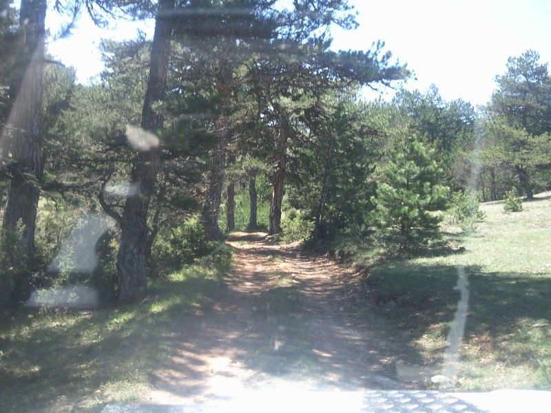 FotoÃƒÂƒÃ‚Â„ÃƒÂ‚Ã‚ÂŸraf-0078.jpg
