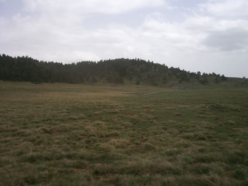 FotoÃƒÂƒÃ‚Â„ÃƒÂ‚Ã‚ÂŸraf-0079.jpg