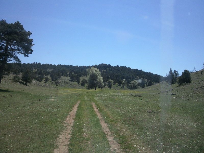 FotoÃƒÂƒÃ‚Â„ÃƒÂ‚Ã‚ÂŸraf-0080.jpg
