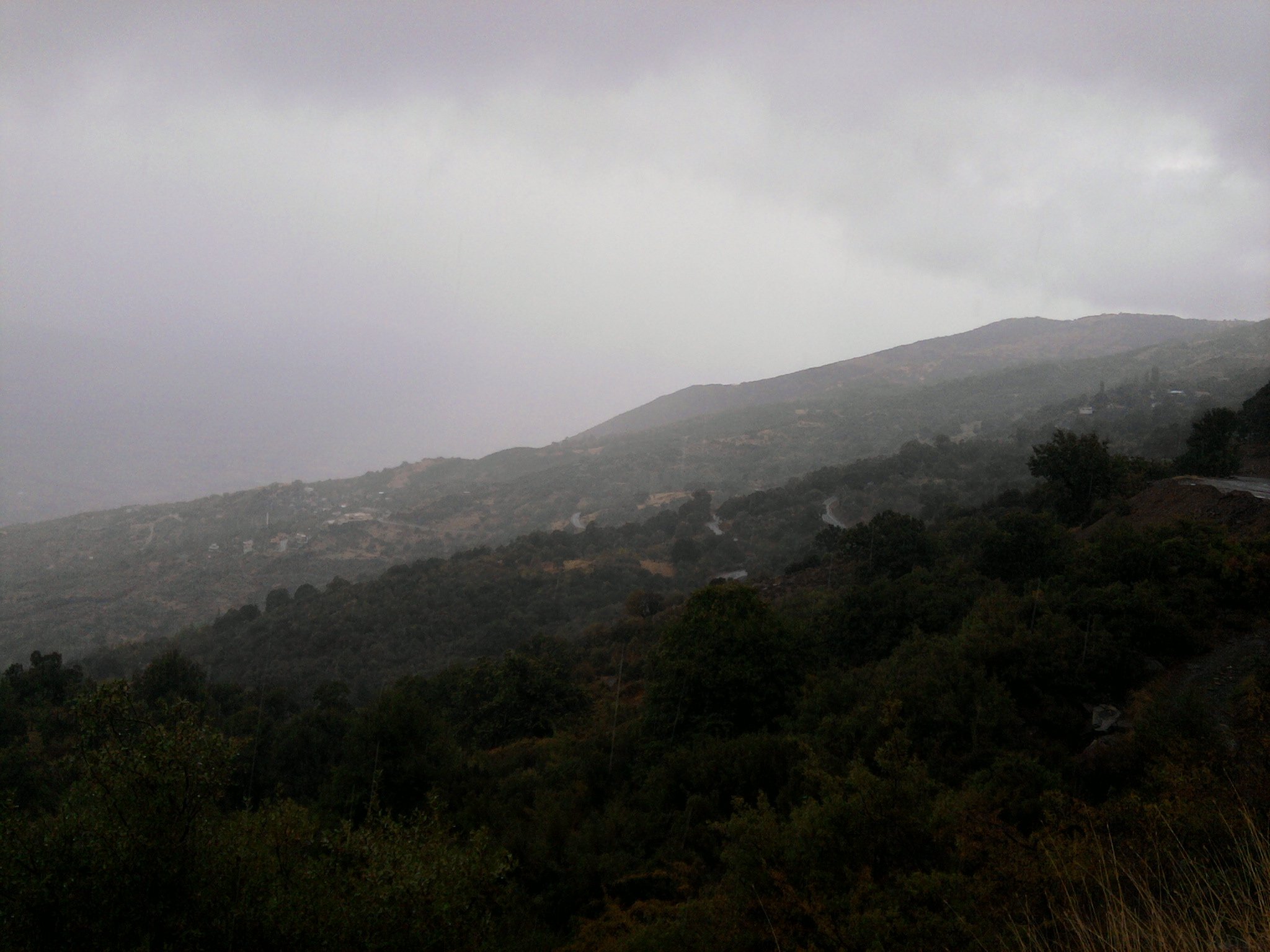FotoÃƒÂƒÃ‚Â„ÃƒÂ‚Ã‚ÂŸraf-0081.jpg