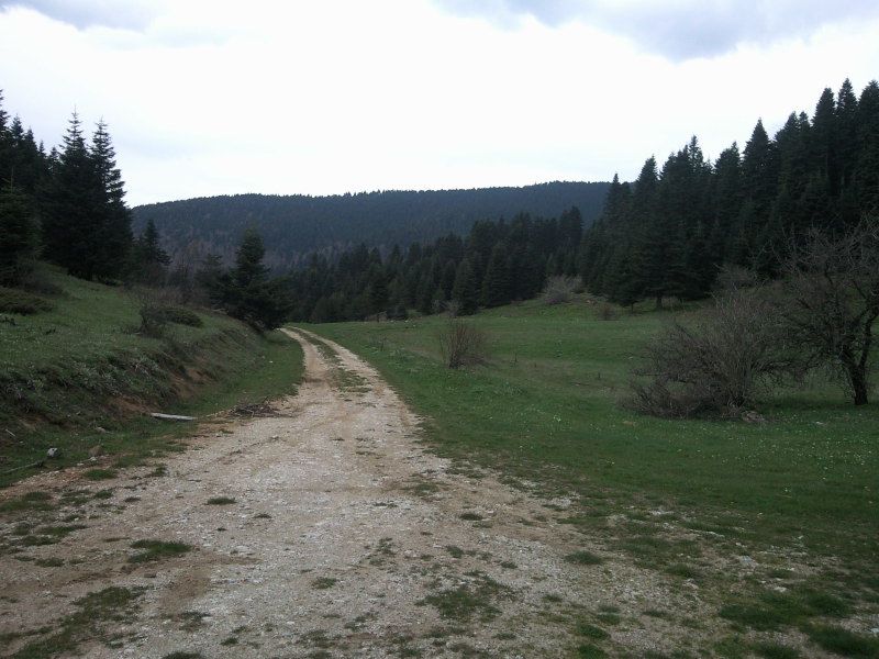 FotoÃƒÂƒÃ‚Â„ÃƒÂ‚Ã‚ÂŸraf-0082.jpg
