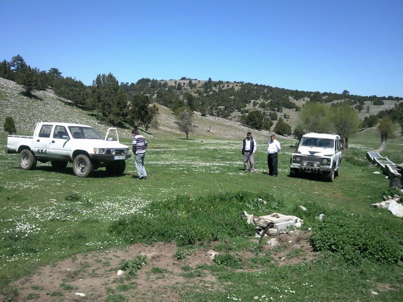 FotoÃƒÂƒÃ‚Â„ÃƒÂ‚Ã‚ÂŸraf-0084.jpg