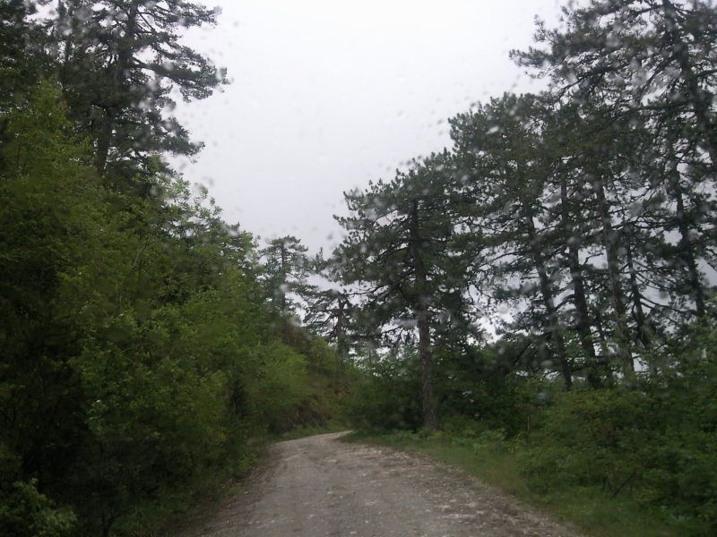 FotoÃƒÂƒÃ‚Â„ÃƒÂ‚Ã‚ÂŸraf-0084.jpg