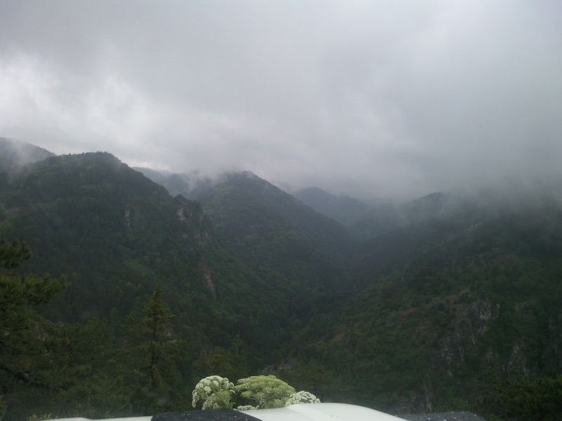 FotoÃƒÂƒÃ‚Â„ÃƒÂ‚Ã‚ÂŸraf-0085.jpg
