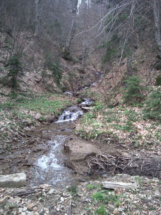 FotoÃƒÂƒÃ‚Â„ÃƒÂ‚Ã‚ÂŸraf-0087.jpg