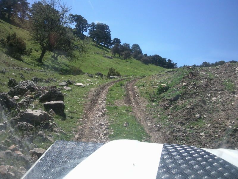 FotoÃƒÂƒÃ‚Â„ÃƒÂ‚Ã‚ÂŸraf-0087.jpg