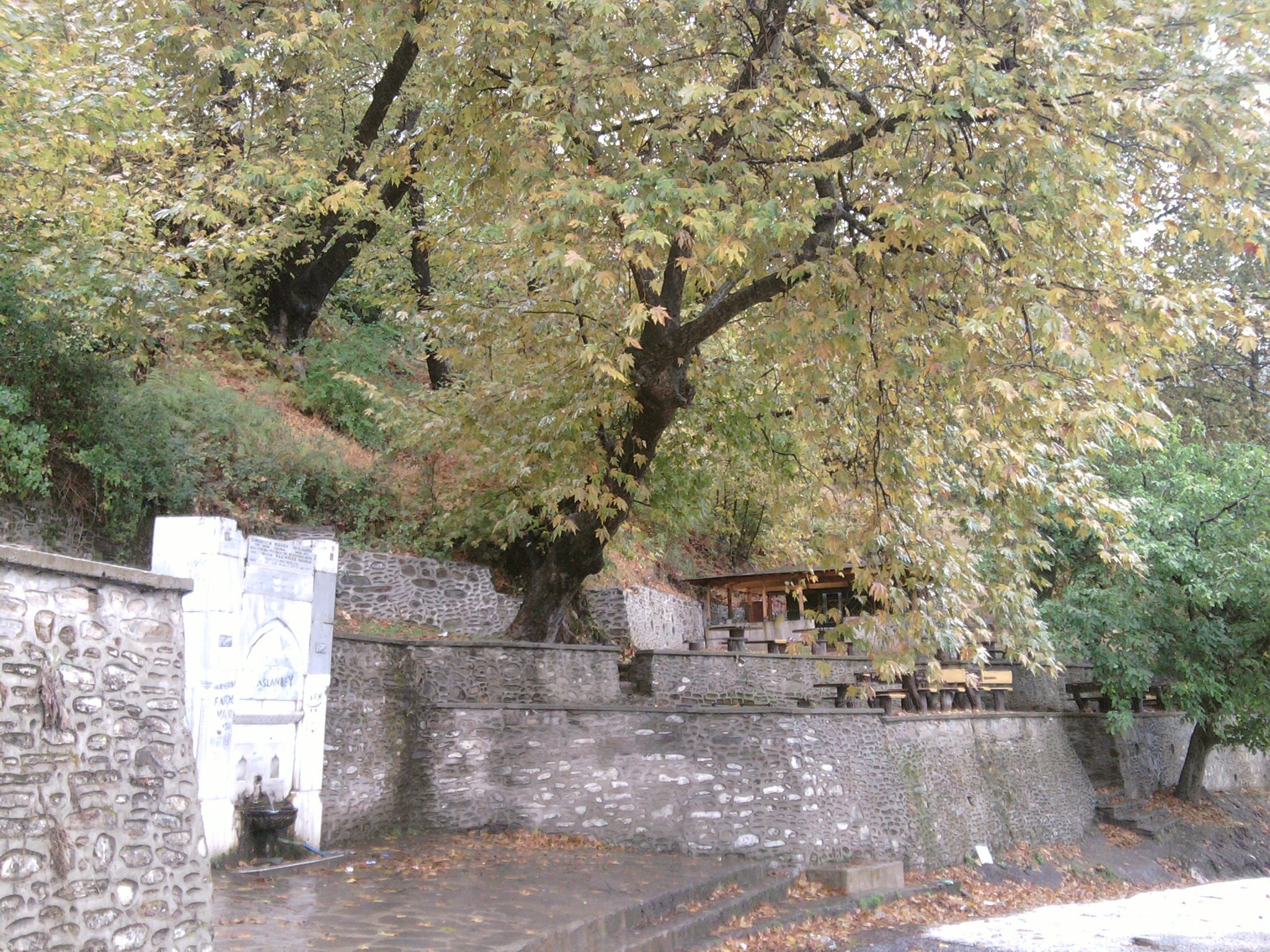 FotoÃƒÂƒÃ‚Â„ÃƒÂ‚Ã‚ÂŸraf-0087.jpg