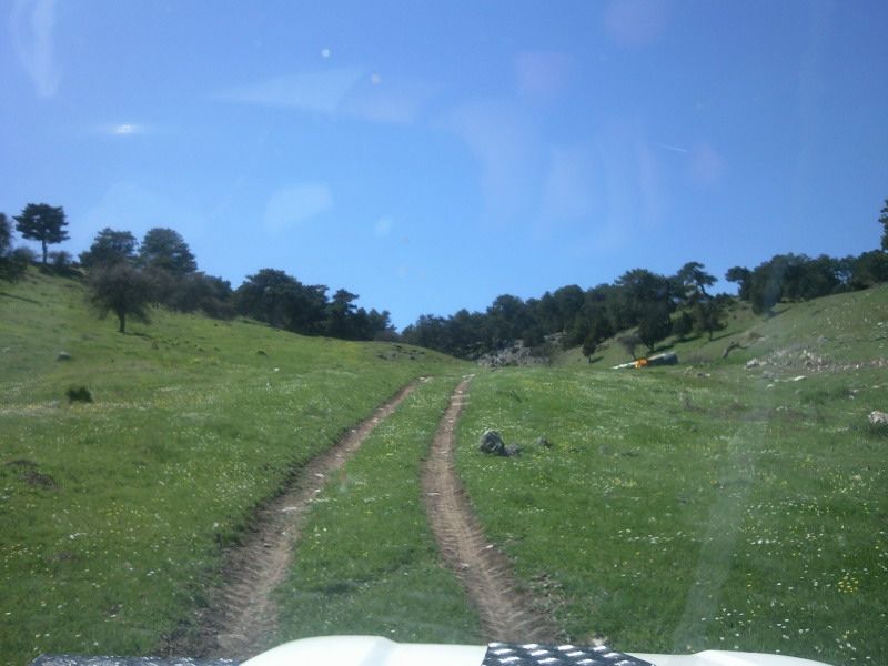 FotoÃƒÂƒÃ‚Â„ÃƒÂ‚Ã‚ÂŸraf-0088.jpg