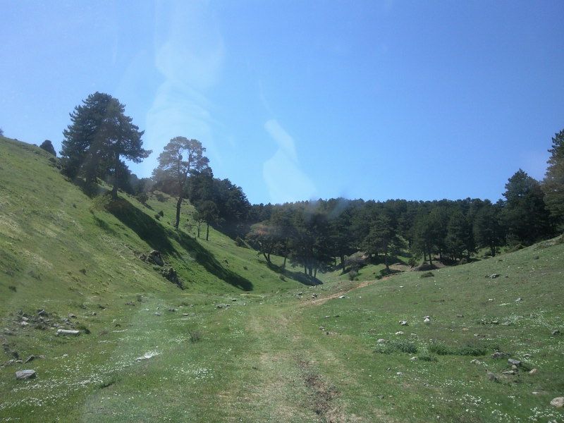 FotoÃƒÂƒÃ‚Â„ÃƒÂ‚Ã‚ÂŸraf-0089.jpg