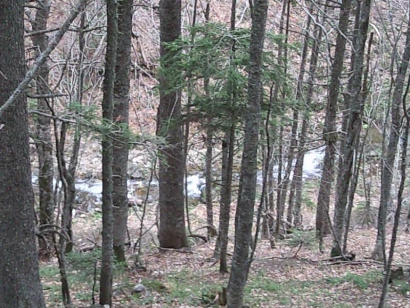 FotoÃƒÂƒÃ‚Â„ÃƒÂ‚Ã‚ÂŸraf-0090.jpg