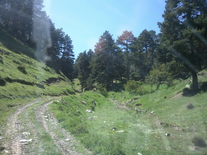FotoÃƒÂƒÃ‚Â„ÃƒÂ‚Ã‚ÂŸraf-0090.jpg