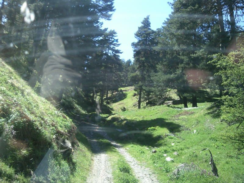 FotoÃƒÂƒÃ‚Â„ÃƒÂ‚Ã‚ÂŸraf-0091.jpg