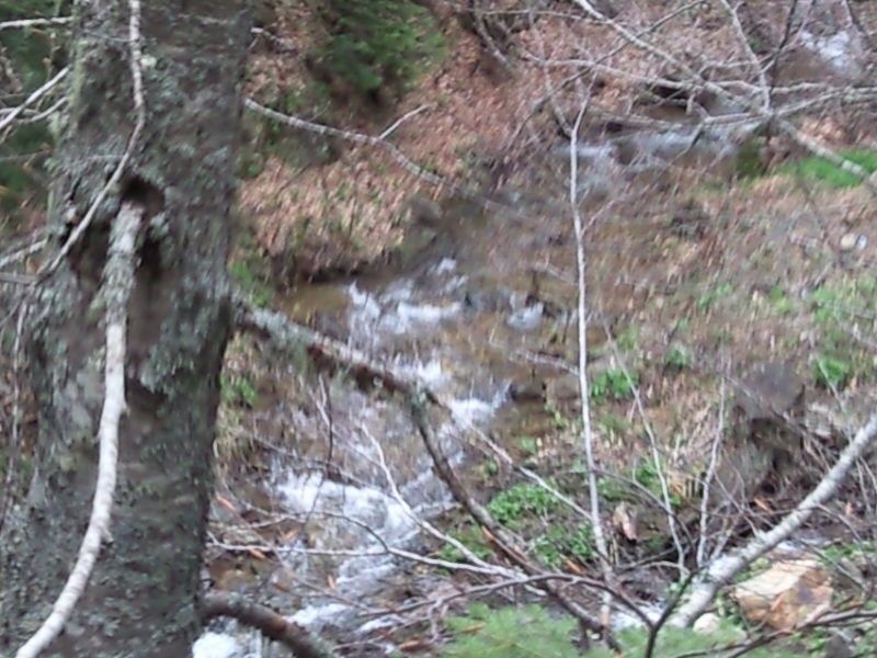 FotoÃƒÂƒÃ‚Â„ÃƒÂ‚Ã‚ÂŸraf-0093.jpg