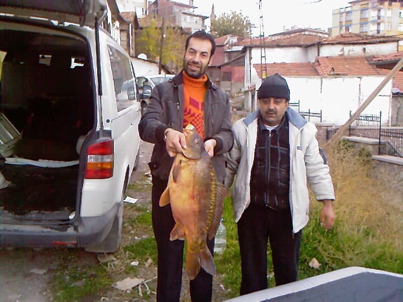 FotoÃƒÂƒÃ‚Â„ÃƒÂ‚Ã‚ÂŸraf-0094.jpg
