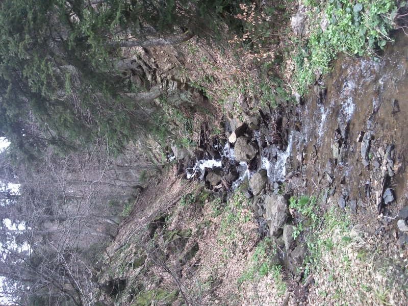 FotoÃƒÂƒÃ‚Â„ÃƒÂ‚Ã‚ÂŸraf-0096.jpg