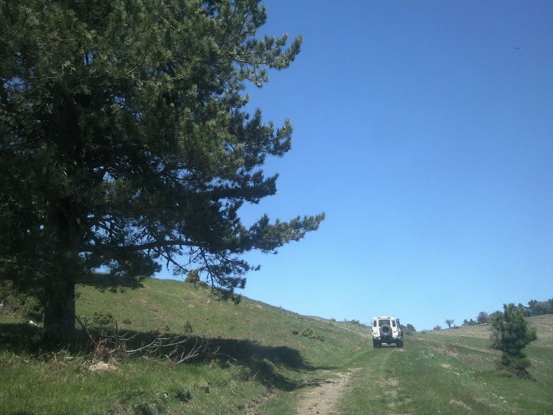 FotoÃƒÂƒÃ‚Â„ÃƒÂ‚Ã‚ÂŸraf-0096.jpg
