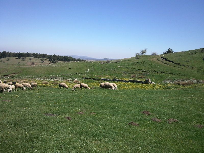 FotoÃƒÂƒÃ‚Â„ÃƒÂ‚Ã‚ÂŸraf-0097.jpg